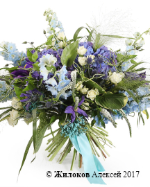 ����� ������� �����