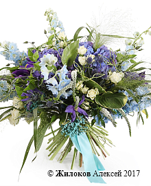 ����� ������� �����