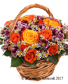 ����� ������� ������� � �������