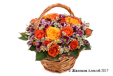 ����� ������� ������� � �������