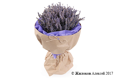 ����� �� ������� ������� �����