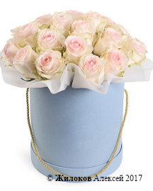 ����� ����� � ����� � ������� �������