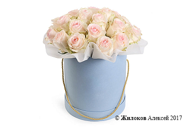 ����� ����� � ����� � ������� �������