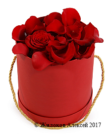 �������� ��� � ������� �������