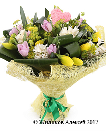 ����� �������� ��������