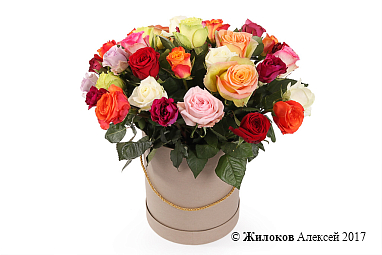 ����� ����������� ������� (35 ���) � ������� �������