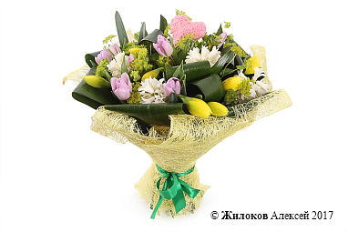 ����� �������� ��������