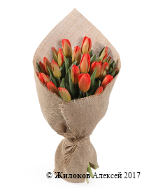 ����� ��� ���� (������-��������� ��������)