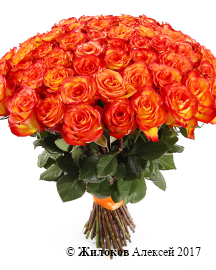 ����� 51 ���� ��� ������