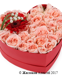 ����� � ������ ������ � ������� ������� ������