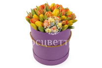 ����� 51 ����������� ������� � ������� �������, ��������� ����