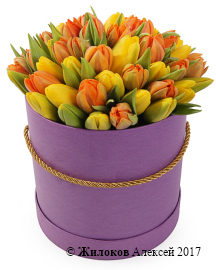 Букет 51 королевский тюльпан в шляпной коробке, солнечный микс