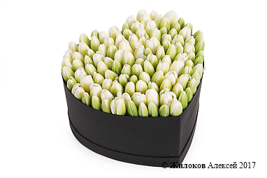 ���������� �������� ����������� � ������� ������� ������ (�����), �����