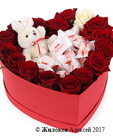 ���������� ������� ������� (Raffaello) � ������� ������� ������