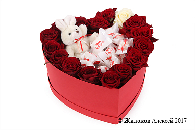 ���������� ������� ������� (Raffaello) � ������� ������� ������