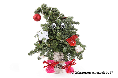 ���������� ���������� �������