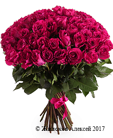 ����� 51 ���� ���� ���