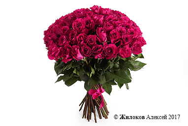 ����� 51 ���� ���� ���