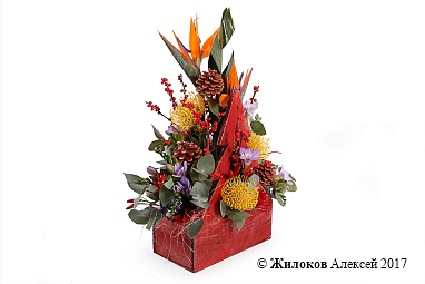 ���������� ��� � ����� ��� � �����