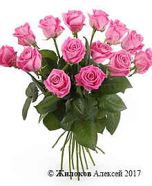 ����� 15 ��� ����