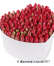 ���������� �������� ����������� � ������� ������� ������ (�����), �������