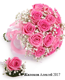 ����� ������� ��������