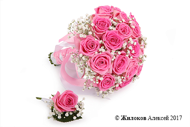 ����� ������� ��������