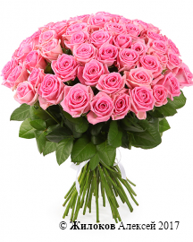 ����� 51 ���� ����