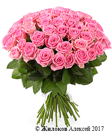 ����� 51 ���� ����