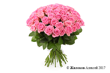 ����� 51 ���� ����