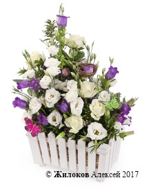 ���������� � �������� ����� ���� ������ � �����