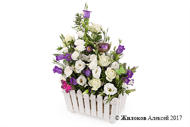 ���������� � �������� ����� ���� ������ � �����