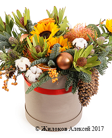 ����� ����� � ������ � ������� �������