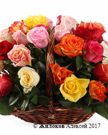 ����� ����������� ������� (51 ����) � �������