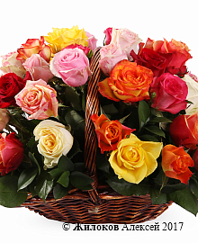 ����� ����������� ������� (51 ����) � �������