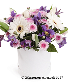 ����� ����� ��������� � ������� �������