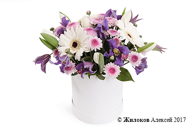 ����� ����� ��������� � ������� �������