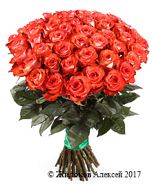 ����� 51 ���� ������, ����������