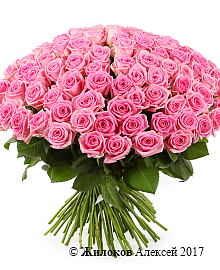 ����� 101 ���� ����