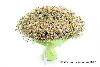 ����� 101 �������