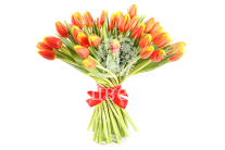 ����� 51 �������, �����