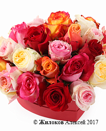 ���������� ��� ����� ������ � ������� �������-������ (����)