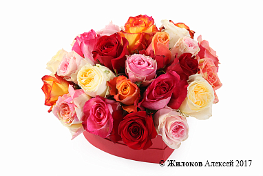 ���������� ��� ����� ������ � ������� �������-������ (����)