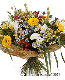 ����� ���� �������� �� �����