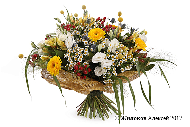 ����� ���� �������� �� �����