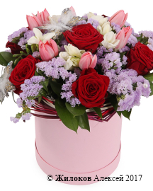 ����� �������� ���� � ������� �������