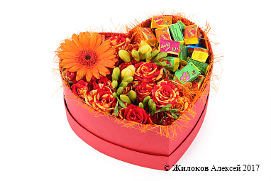 ����� ������ ������ ������� � ������� ������� ������