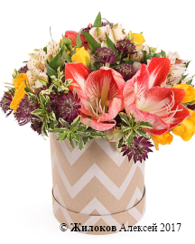 ����� ������ ����� � ������� �������