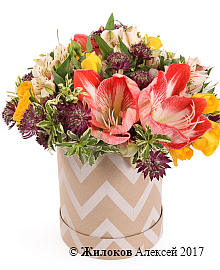 ����� ������ ����� � ������� �������