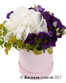 ����� ����� � ������� � ������� �������